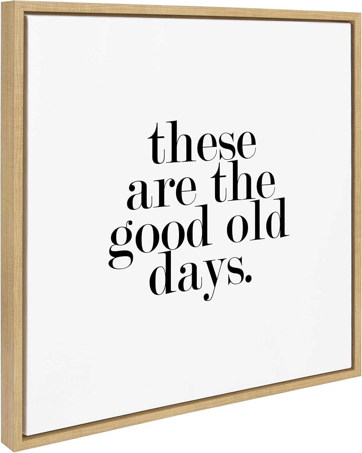 Kate and Laurel Sylvie Good Old Days Framed Canvas Wall Art by Maggie Price of Hunt and Gather Goods; 22x22 Natural; Modern Farmhouse Wall Décor