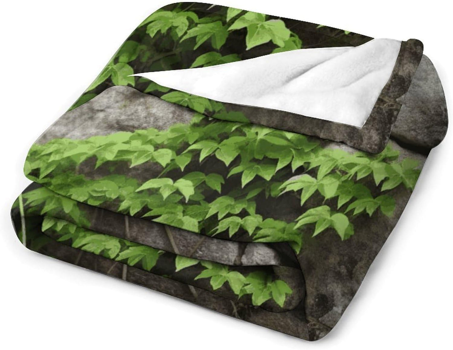 Plant on Stone Wall Blanket Super Soft Lightweight Throw Blanket Cute Cozy Warm Bed Blanket Decorative Fuzzy Blanket All-Season Home Decor Gift for Sofa Couch Living Room 60"*80"（150 * 200cm）
