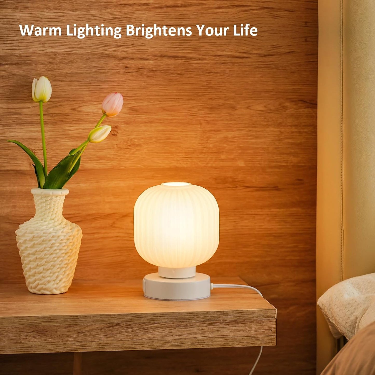 Touch Bedside Glass Table Lamp Set of 2 with 3 Way Dimmable Light, Small Table Lamps with USB C+A Charging Ports - Bedroom Nightstand & Living Room Essential, Bulb Included