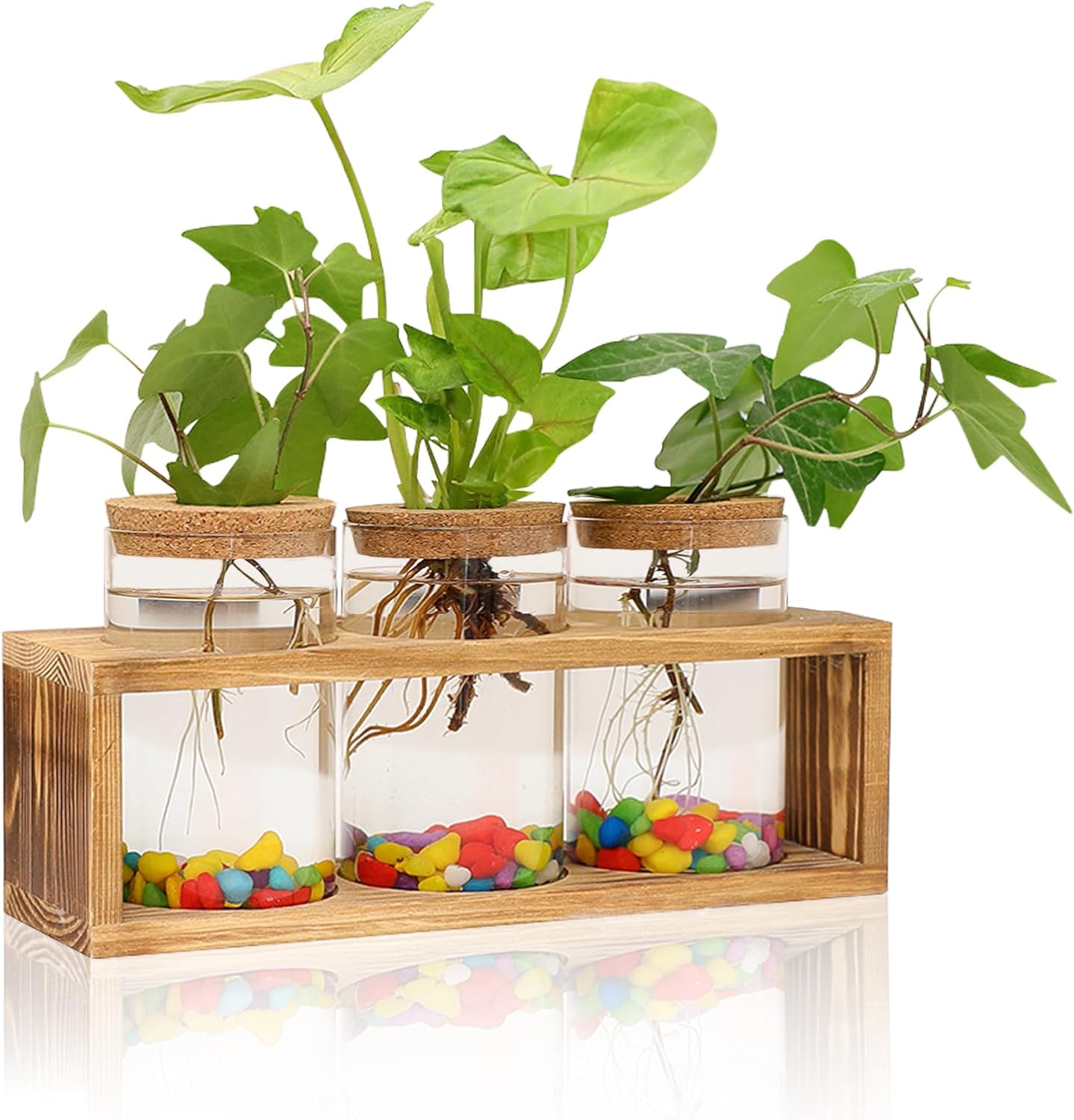 Clear Plant Propagation Station with Retro Wooden Stand, Glass Plant Terrarium Decor with 3 Vase, Desktop Plant Stand for Hydroponic Home Office Garden Decor, Plant Lover Gifts (3 Vase)
