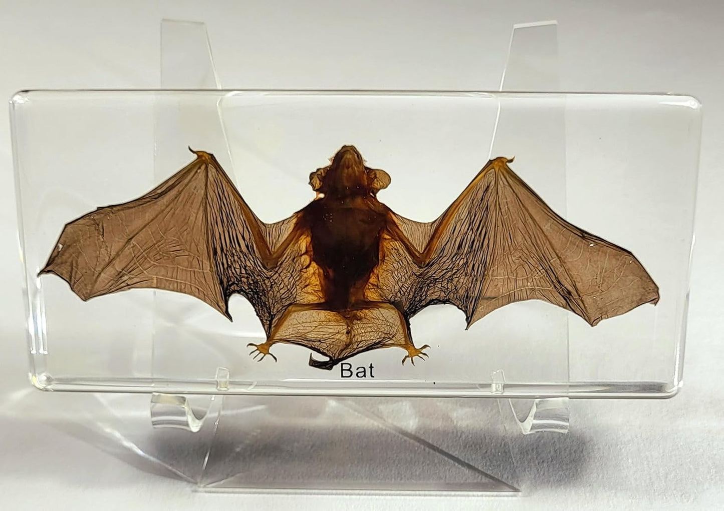 HQRP-Crystal 3-7/8" Acrylic Display Stand Pedestal for Crystal Heart / Slice/ Slab / Fossil and Other Collectible Stones