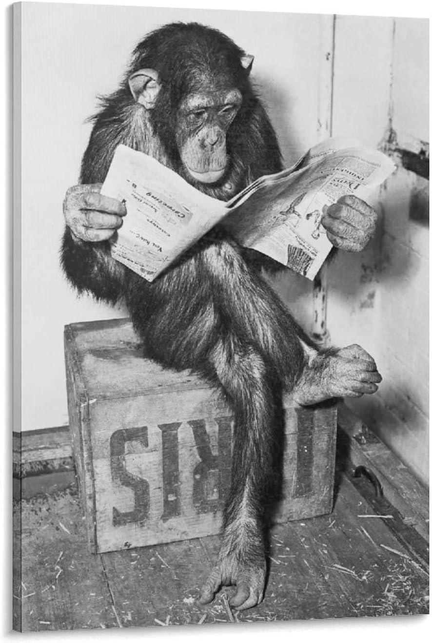 Animals Art Poster Monkey Reading Newspaper Canvas Painting Wall Art Posters and Prints Office Livin Canvas Painting Wall Art Poster for Bedroom Living Room Decor 20x30inch(50x75cm) Frame-Style-1