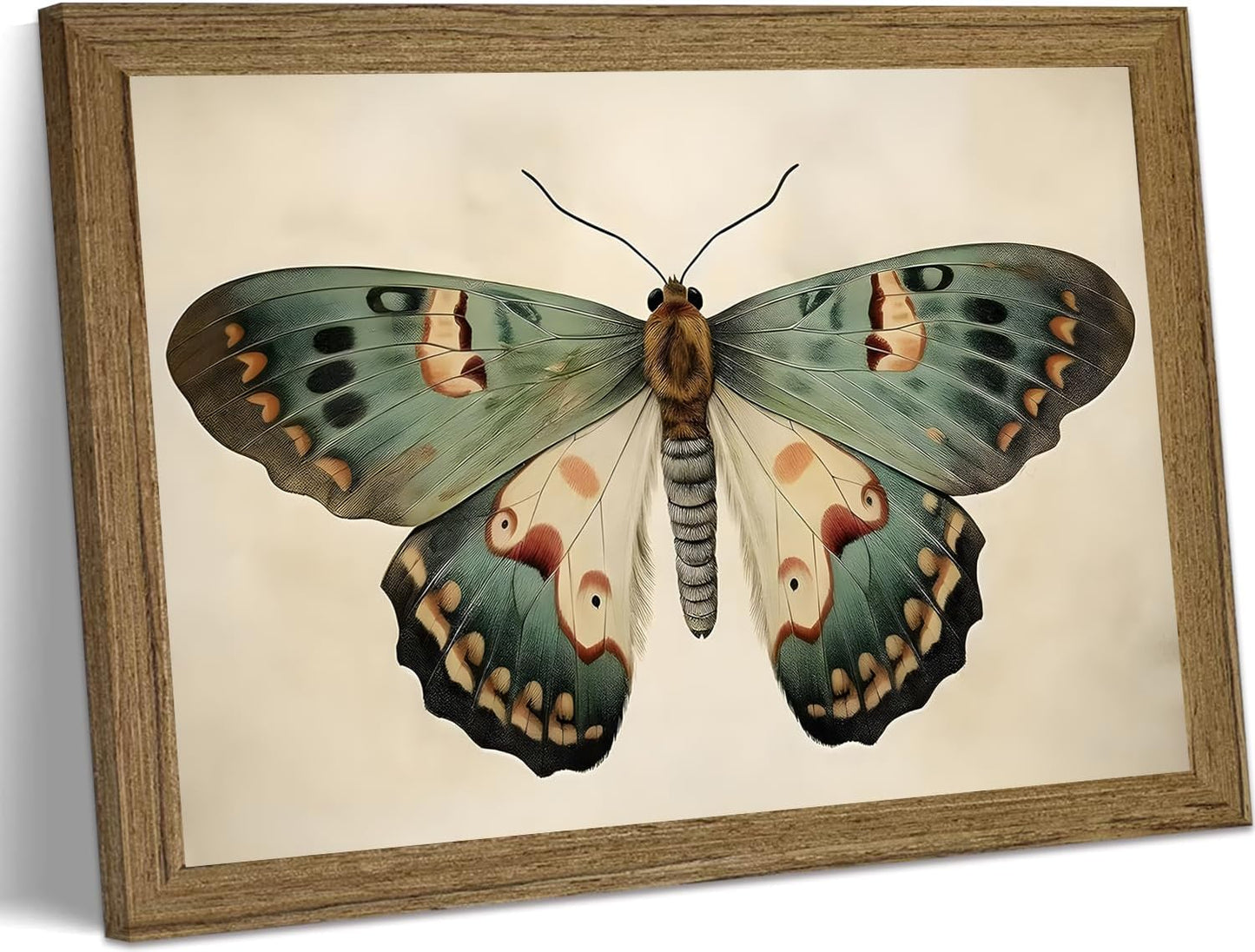 Vintage Butterfly Wall Art Framed Canvas Retro Butterfly Moody Insect Artwork Prints Picture Antique Moth Artwork for Cottagecore Living Room Bedroom 8x10 Inch