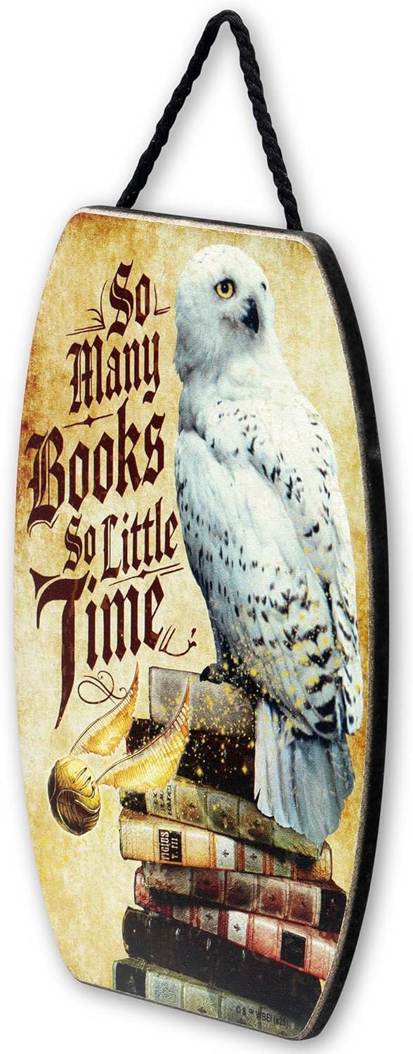 Harry Potter So Many Books So Little Time Hanging Wood Wall Decor - Fun Hedwig Sign for Bedroom or Library