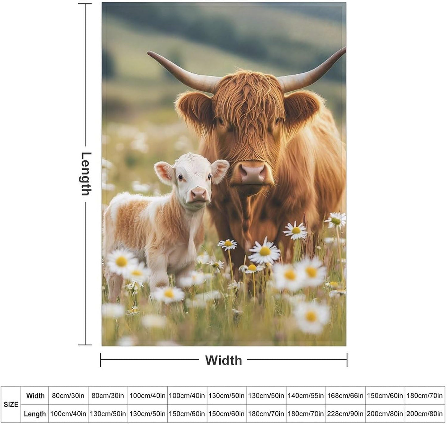 Highland Cow Throw Blanket for Couch Bed Plush Cozy Fuzzy Flannel Blanket for All Season 55"x70"