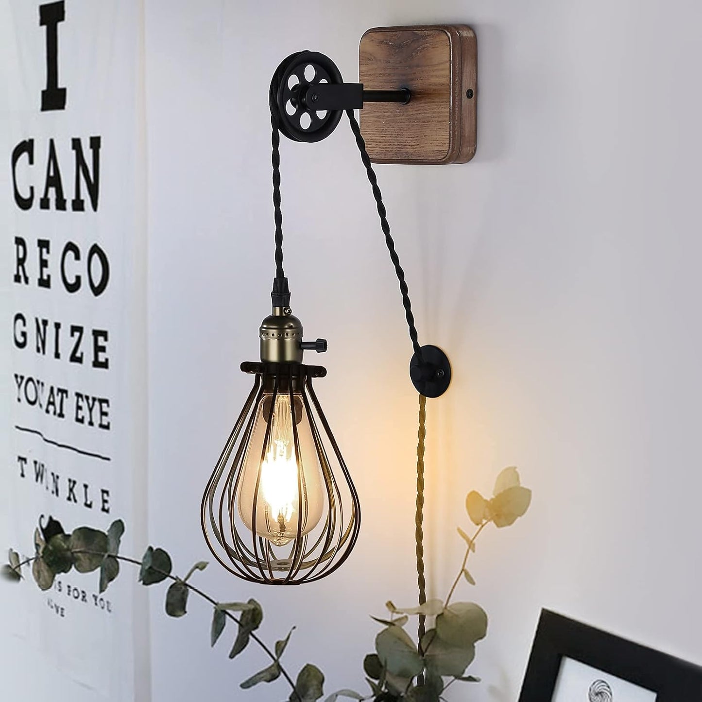 Industrial Wire Cage Plug in Wall Sconces, Black Rustic Hanging Wall Light Fixture Lift Pipe Pulley with Wood Base, On Off Toggle Switch Pendant Lamp Decoration for Reading Living Room Bedroom