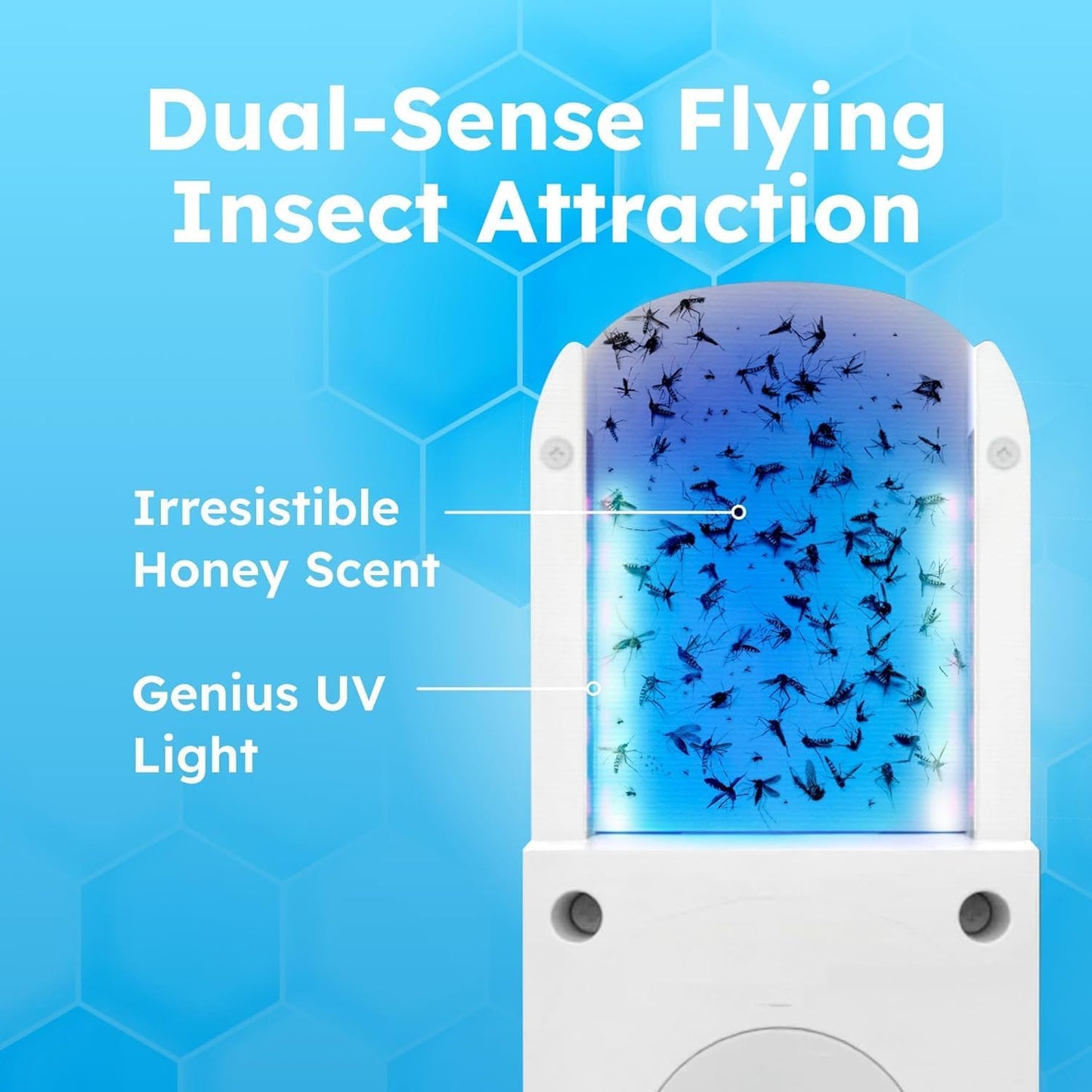 BugMD No Buzz Zone - Flying Insect Trap Catcher Indoor Fly Safer Home Fruit Traps for Gnat Moth Mosquito Bug Light Plug in Killer Refillable Uv Zapper Flea Inside and Indoors 3 Device + 9 Refill