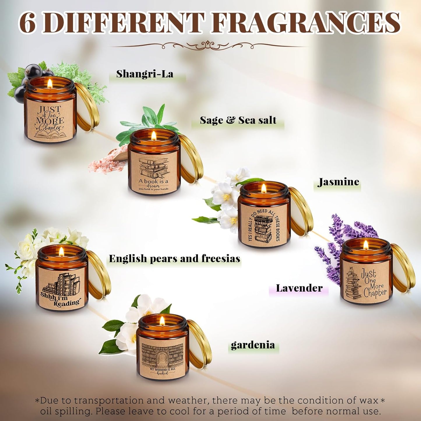 MTLEE 6 Pcs Book Lover Candle Gifts 3.5 oz Book Lovers Gifts Reading Soy Wax Scented Candle Bookish Rustic Bookshelf Jar for National Librarian Day Bookworm Readers Writer Club Teacher Appreciation