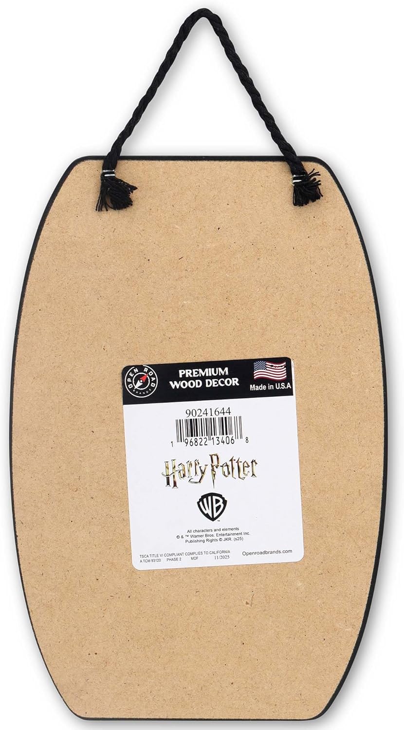 Harry Potter So Many Books So Little Time Hanging Wood Wall Decor - Fun Hedwig Sign for Bedroom or Library