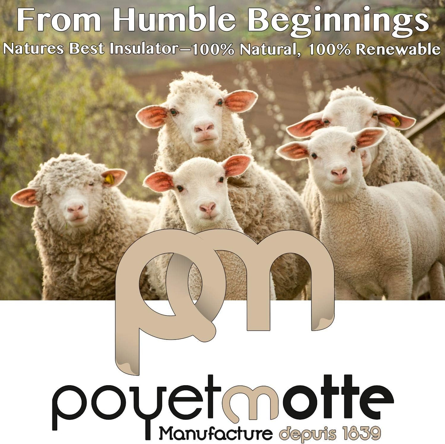 Poyet Motte Aubisque 500GSM Heavyweight 100-Percent Wool Blanket, Maise/Natural (Full/Queen Size)