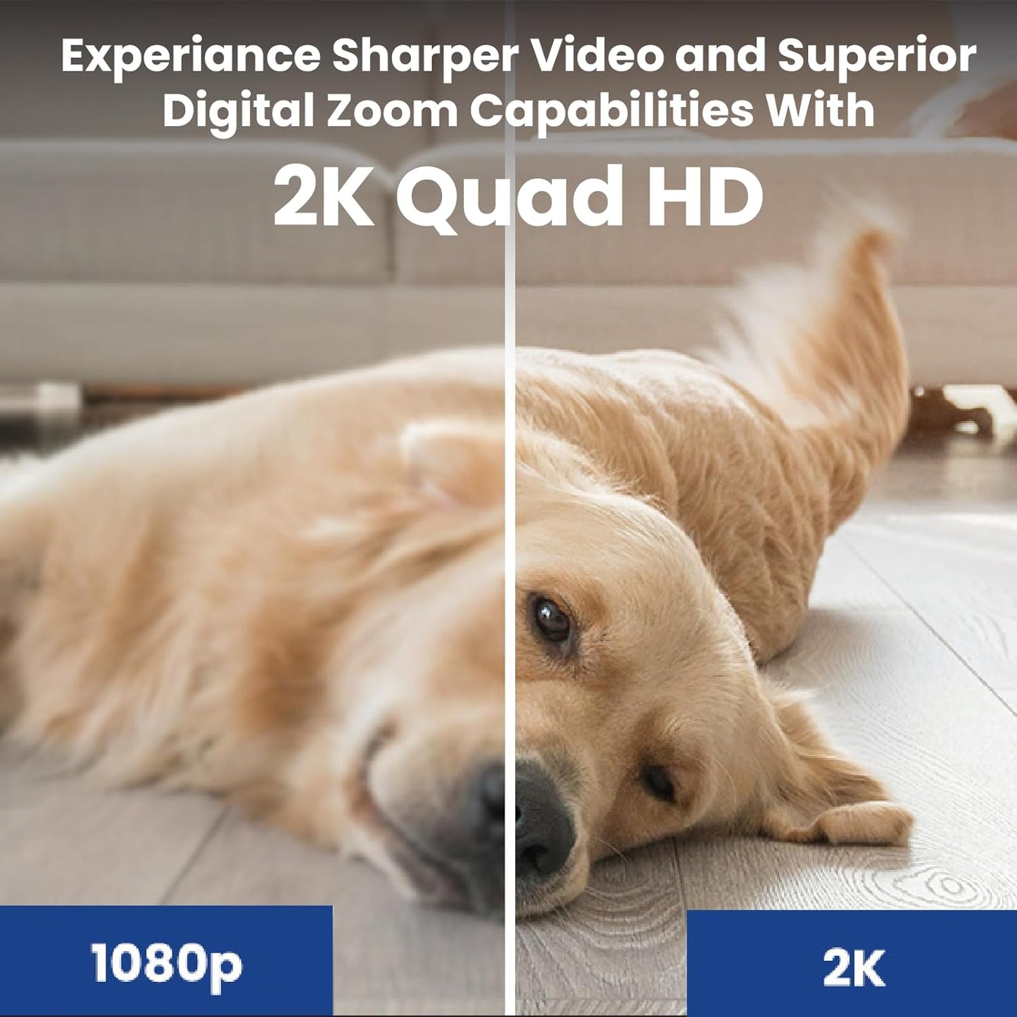 Lorex 2K Indoor WiFi Security Camera | Magnet Base Flexible Placement | Pet Cam, Baby Cam | IR Night Vision | Person Detection | 2 Way Talk | 16GB MicroSD Included | No Monthly Fee