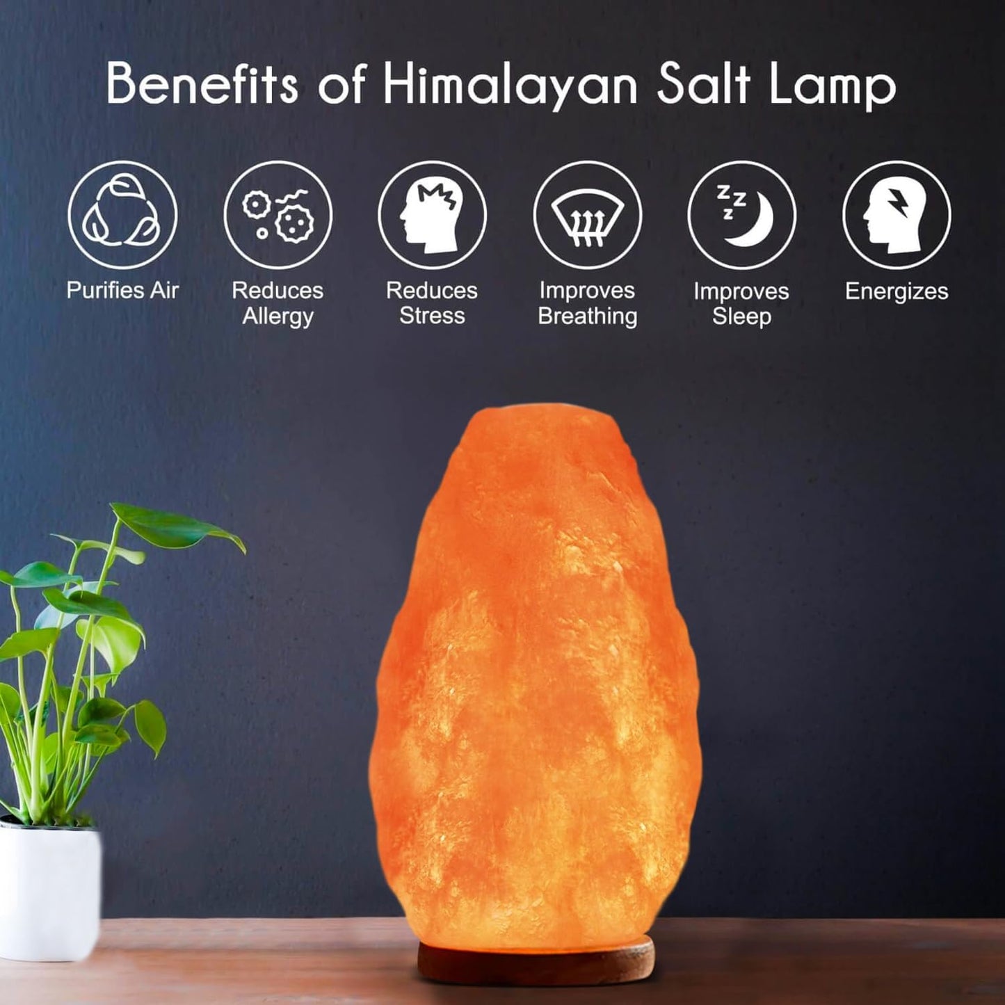 Natural Himalayan Pink Salt Lamp, Crystal Salt Lamp Night Light with Real Wood Base, (ELT Certified) Dimmer Switch – Perfect Holiday Gift | 7-11 LBS