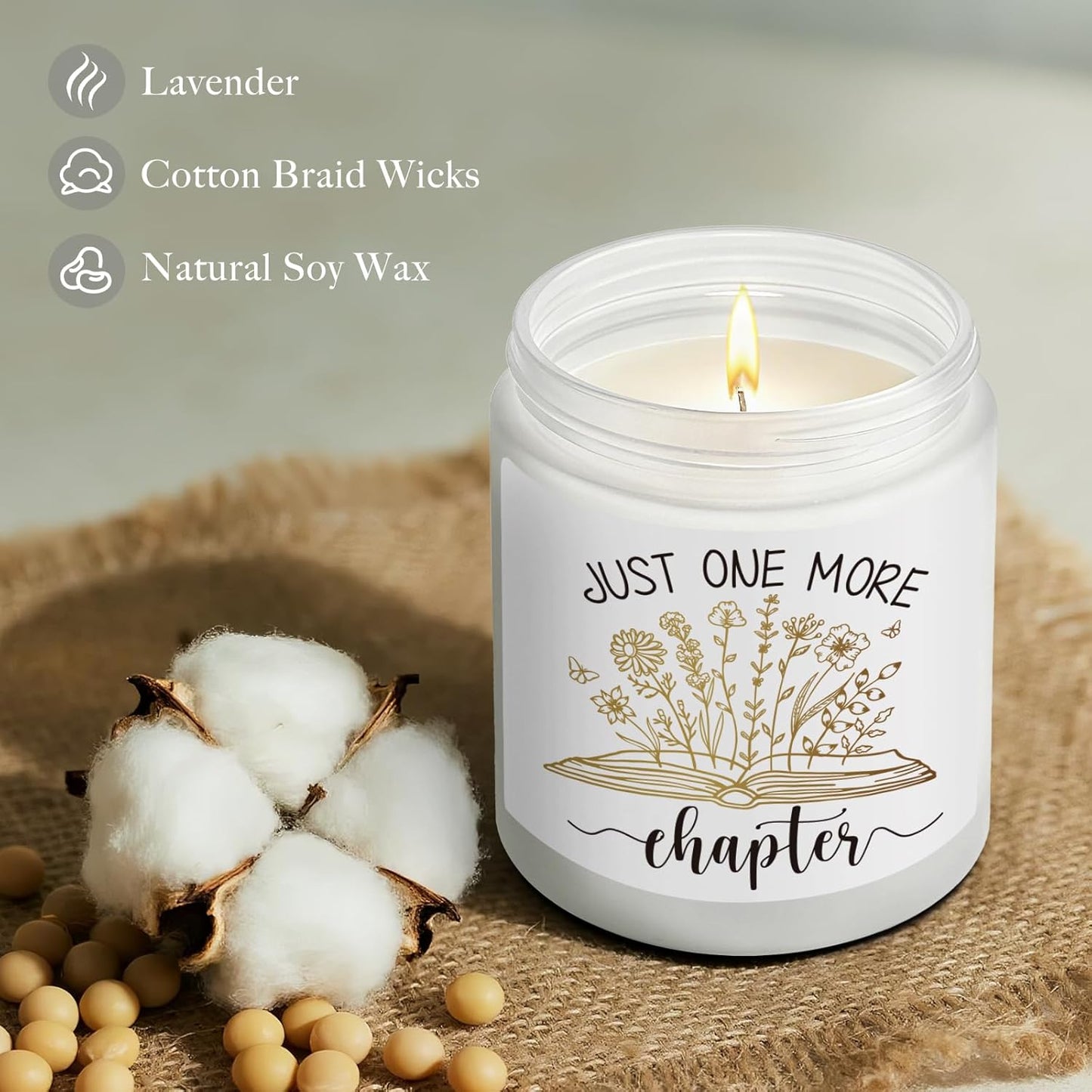 Funny Scented Candle Gifts for Book Lovers, Smells Like Just One More Chapter, Reading Day Candles Decor Gift for Readers, Librarian, Bookworm, Bookish Club Candles Gift for Christmas-36
