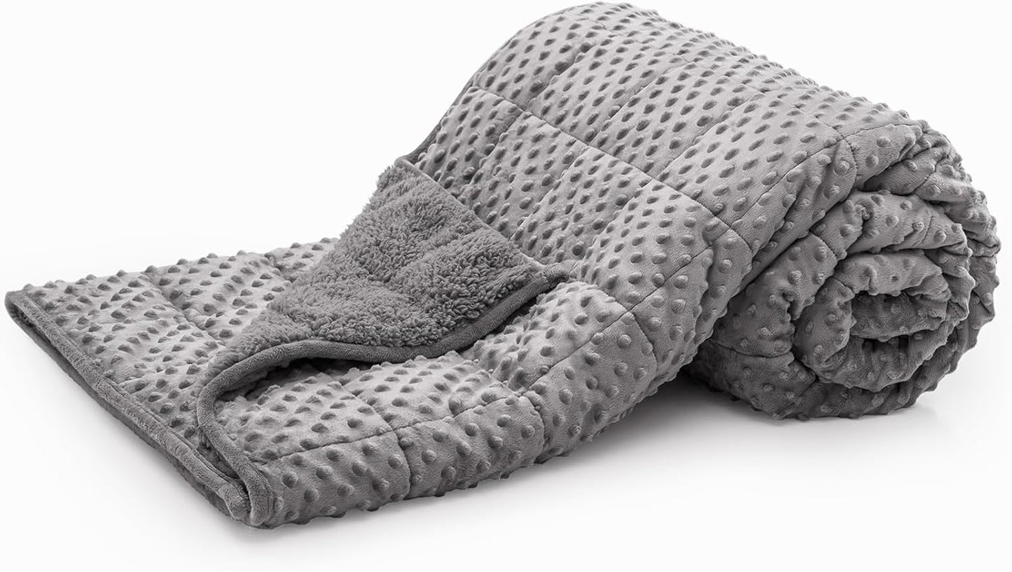 Minky Dot Weighted Blanket for Adults Queen Size 15 lbs, Soft Cozy Heavy Blanket for Stress Relief and Sleep Promotion, Warm Blanket for Autumn Winter with Glass Beads, Grey 60 x 80 inches
