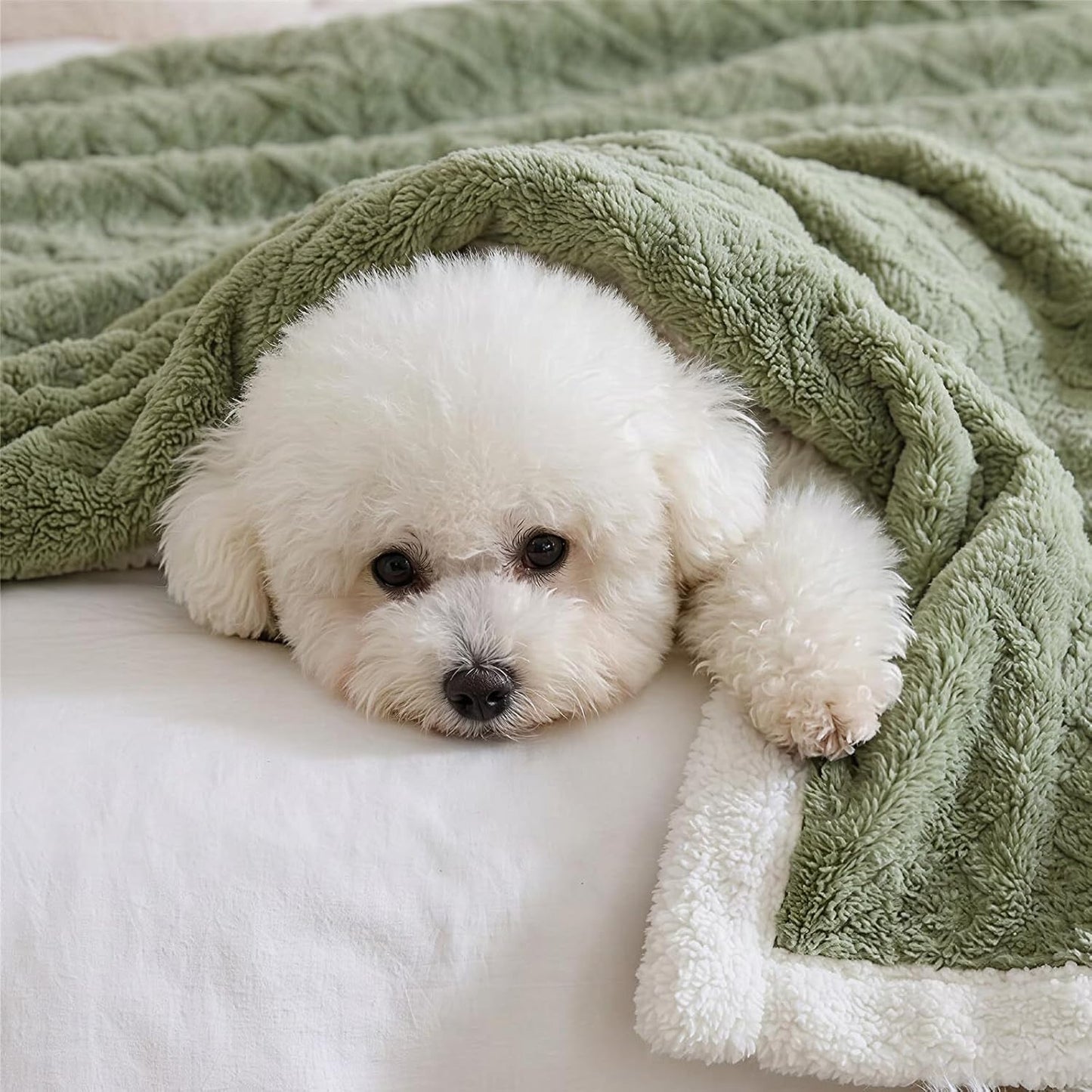 Sherpa Blanket for Bed - Fleece Soft Cozy Fuzzy Blankets Thick Warm for Winter and All Seasons (Green, Full(80"x90"))