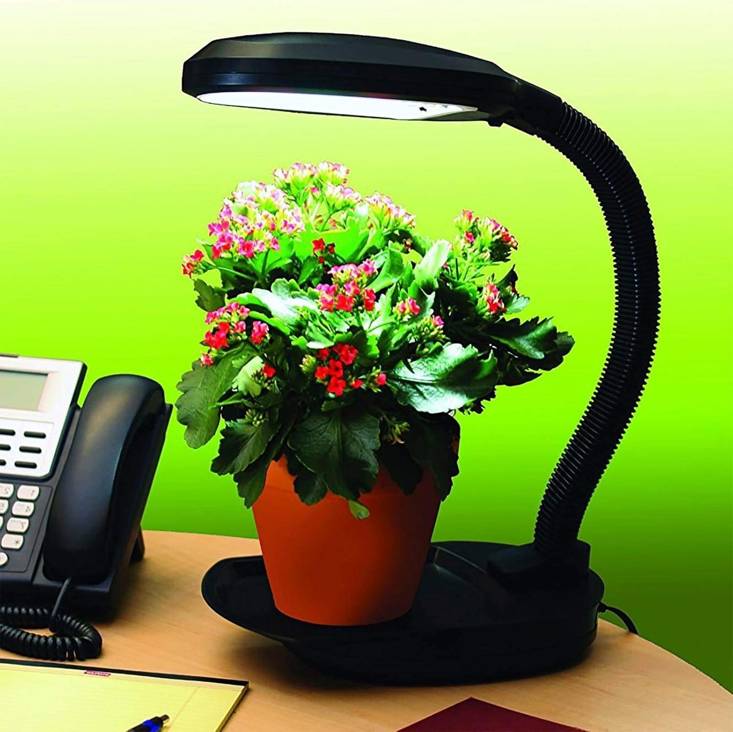 Black Hydrofarm FLF27D Desktop Plant Light with 27-Watt CFL Bulb