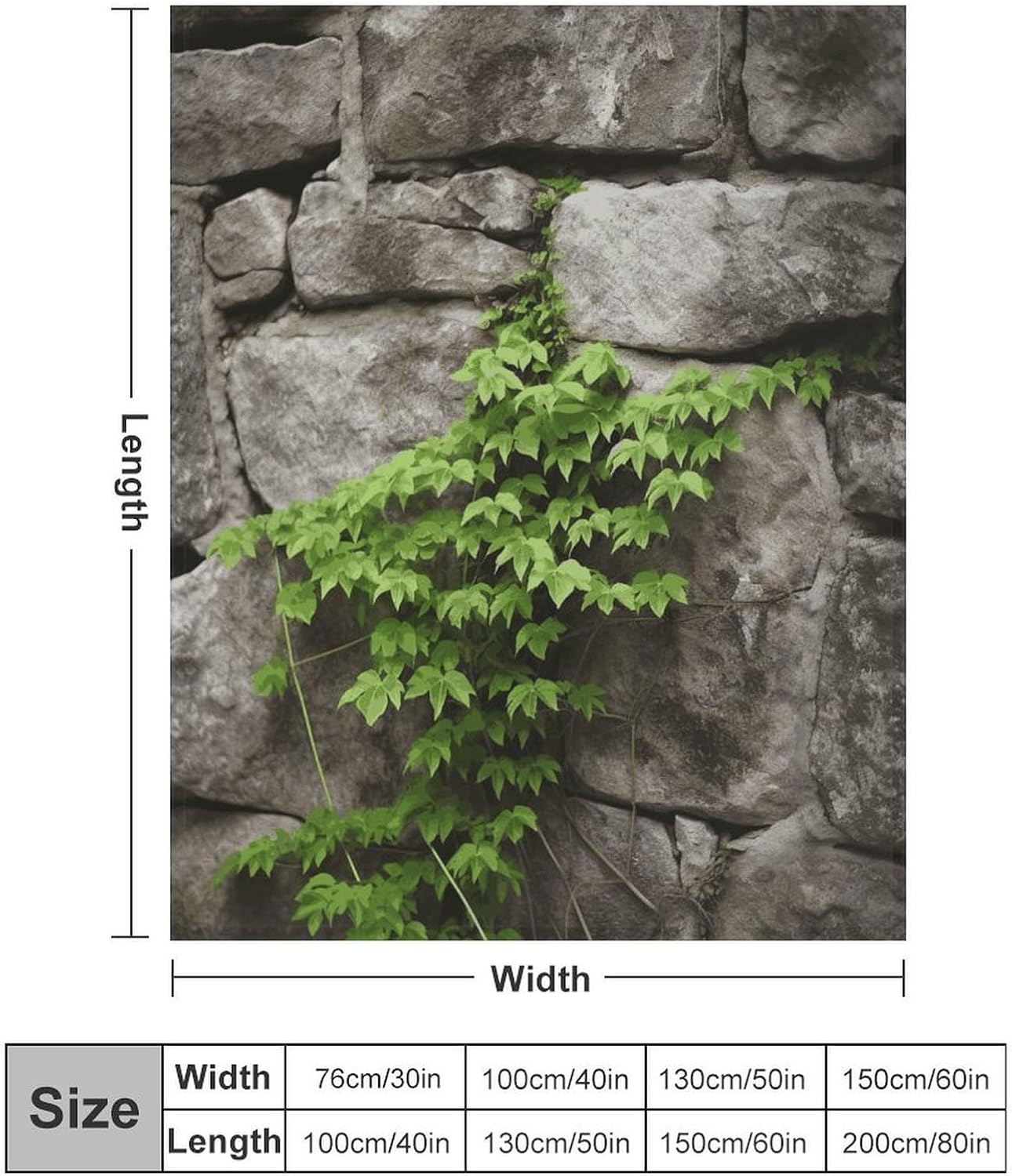 Plant on Stone Wall Blanket Super Soft Lightweight Throw Blanket Cute Cozy Warm Bed Blanket Decorative Fuzzy Blanket All-Season Home Decor Gift for Sofa Couch Living Room 60"*80"（150 * 200cm）