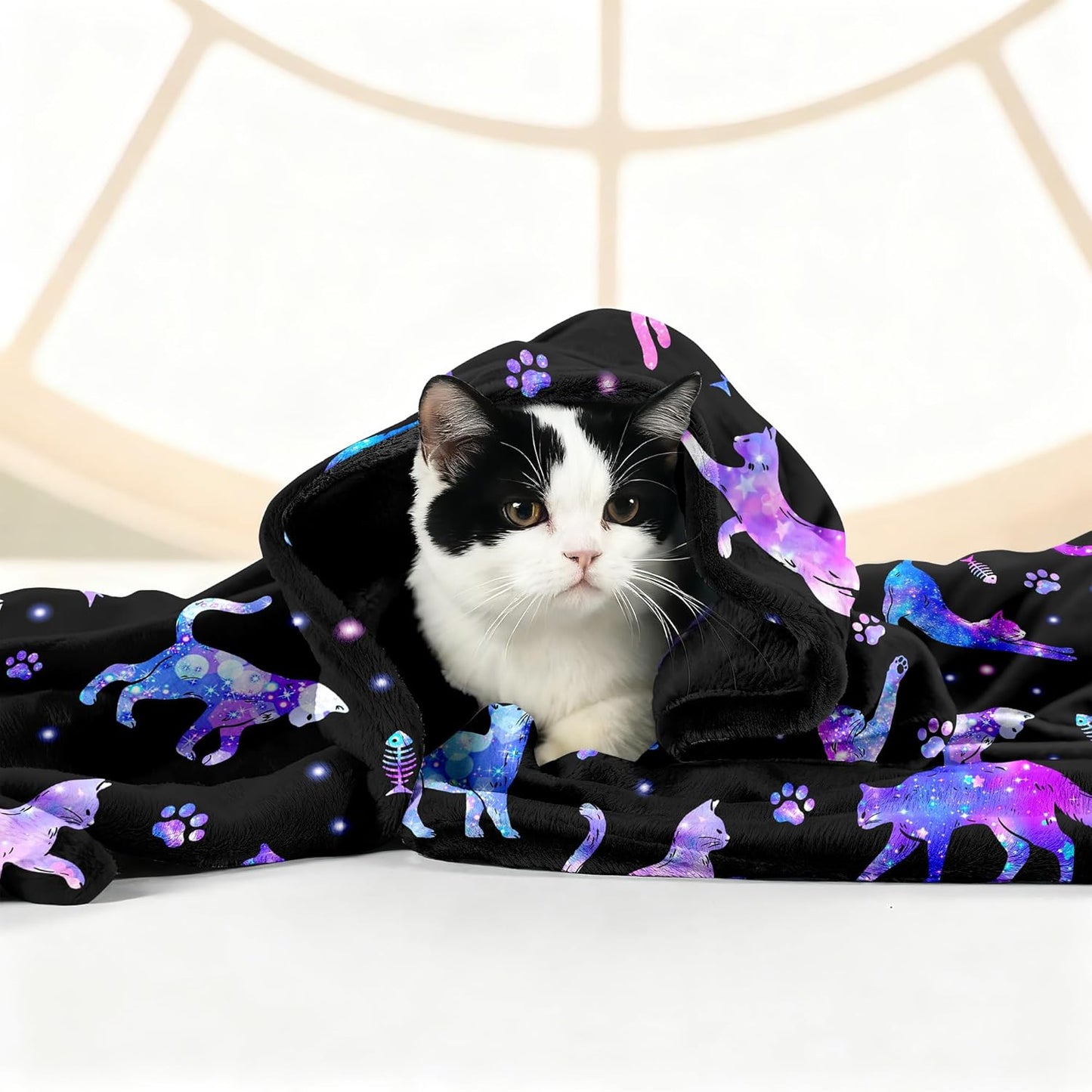 Cat Blanket Gifts for Cat Lover Soft Warm Flannel Cats Throw Blanket Stuff Gifts for Girls Women Kids Adults 50"X 40"