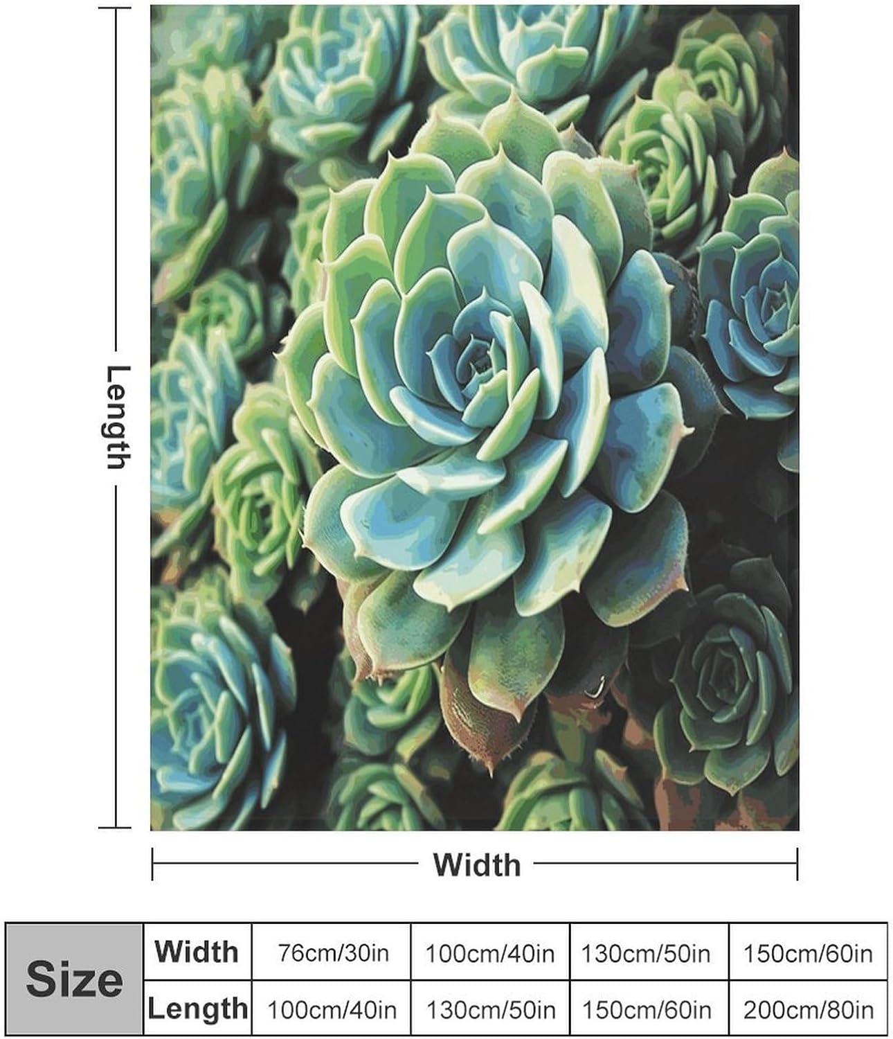 Succulent Plants Blanket Super Soft Lightweight Throw Blanket Cute Cozy Warm Bed Blanket Decorative Fuzzy Blanket All-Season Home Decor Gift for Sofa Couch Living Room 50"*60"（130 * 150cm）