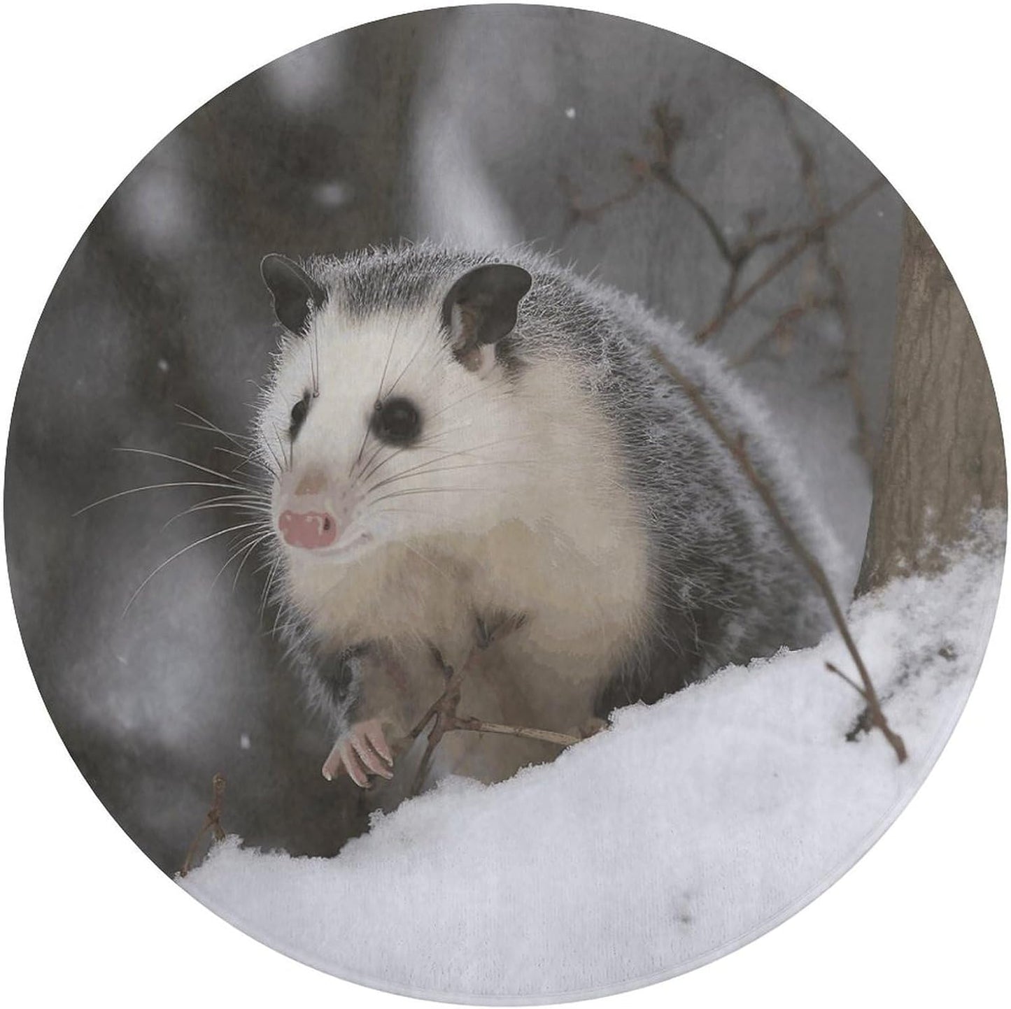 Opossum in Snow Circle Rug Retro Luxury Coral Velvet Floor Mat Non Slip Soft Indoor Floor Carpet Comfy Thickened Area Rugs Modern Aesthetic Minimalist Carpets for Home Decor