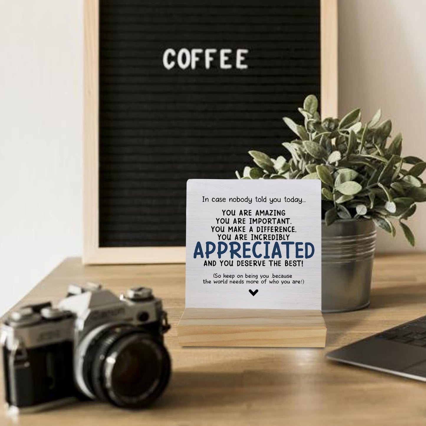 Inspiring Quote You are Appreciated and You Deserve the Best Table Wood Plaque Sign,Self Affirming Wooden Stand Wood Sign Desk Decor for Home Dorm Table Shelf,Inspiring Gifts for Women Men Students