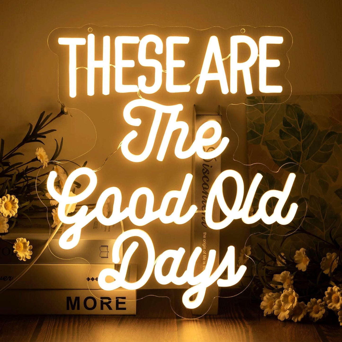 These Are The Good Old Days Neon Sign Dimmable Neon Signs for Wall Decor Inspirational LED Signs USB Light Up Sign for kids Girl Boy Room Wall Decor Nursery Bedroom Playroom Decoration Essentials