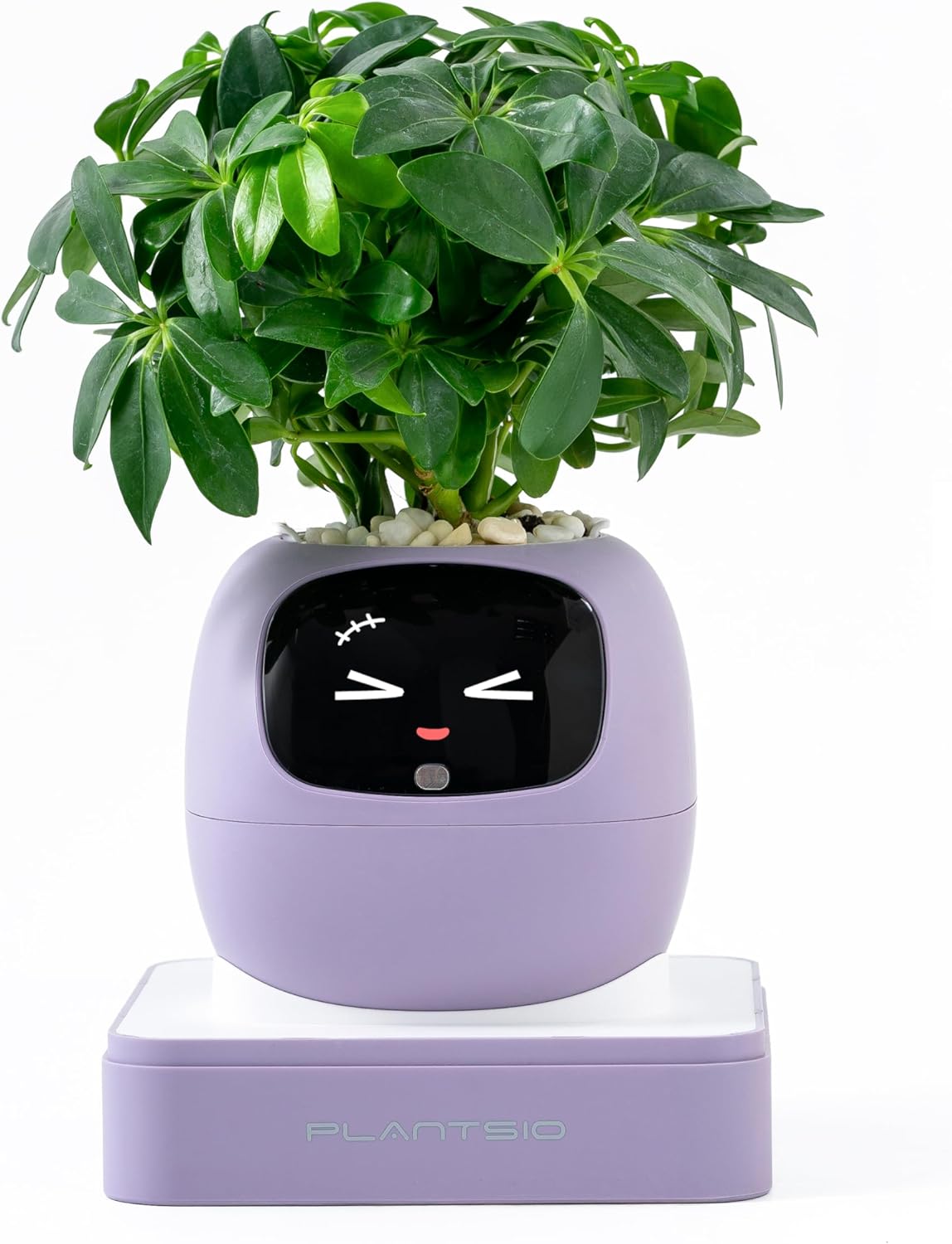 Ivy Interactive AI Desk Companion, Smart Plant Pet with 100+ Expressions, Cute Indoor Planter for Office Decor, Unique Gift for Plant Lovers & Coworkers(Violet)