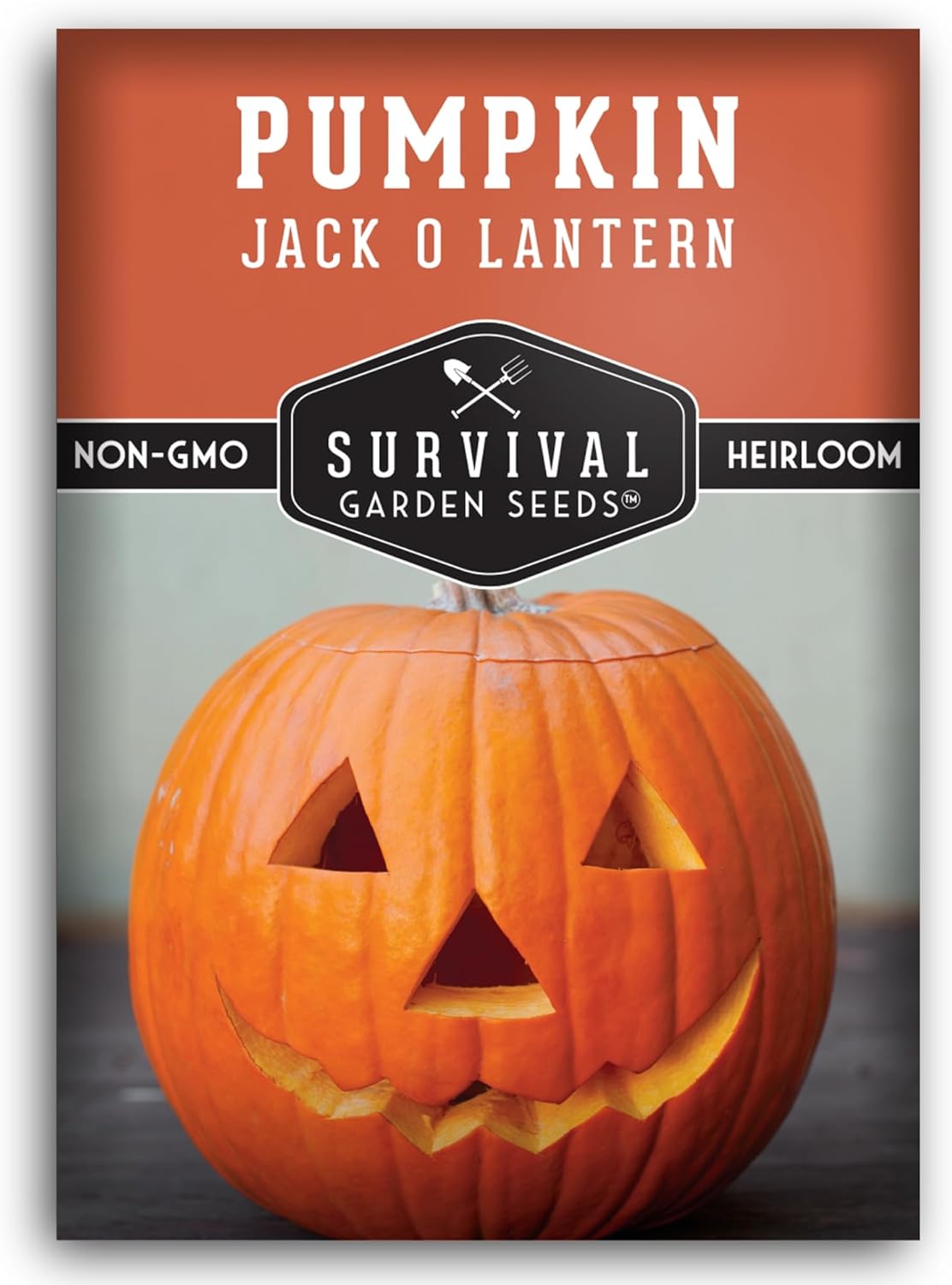 Jack O’ Lantern Pumpkin Seeds for Planting | Heirloom Carving Pumpkins for Halloween, Fall Harvest Decor – Non-GMO Variety – Survival Garden Seeds (1 Pack)