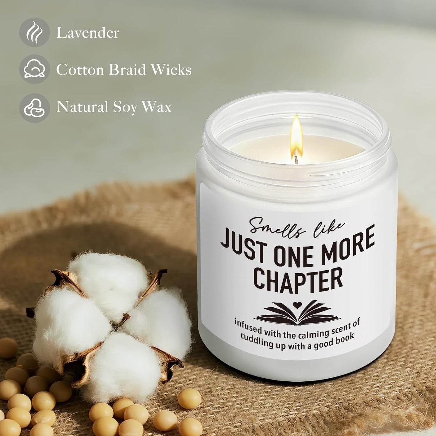 Funny Book Candle Gifts for Book Lovers, Smells Like Just One More Chapter, Books Themed Reading Gift for Women Men Bookworm Librarian, Christmas Reading Day Decor Candles for Readers43