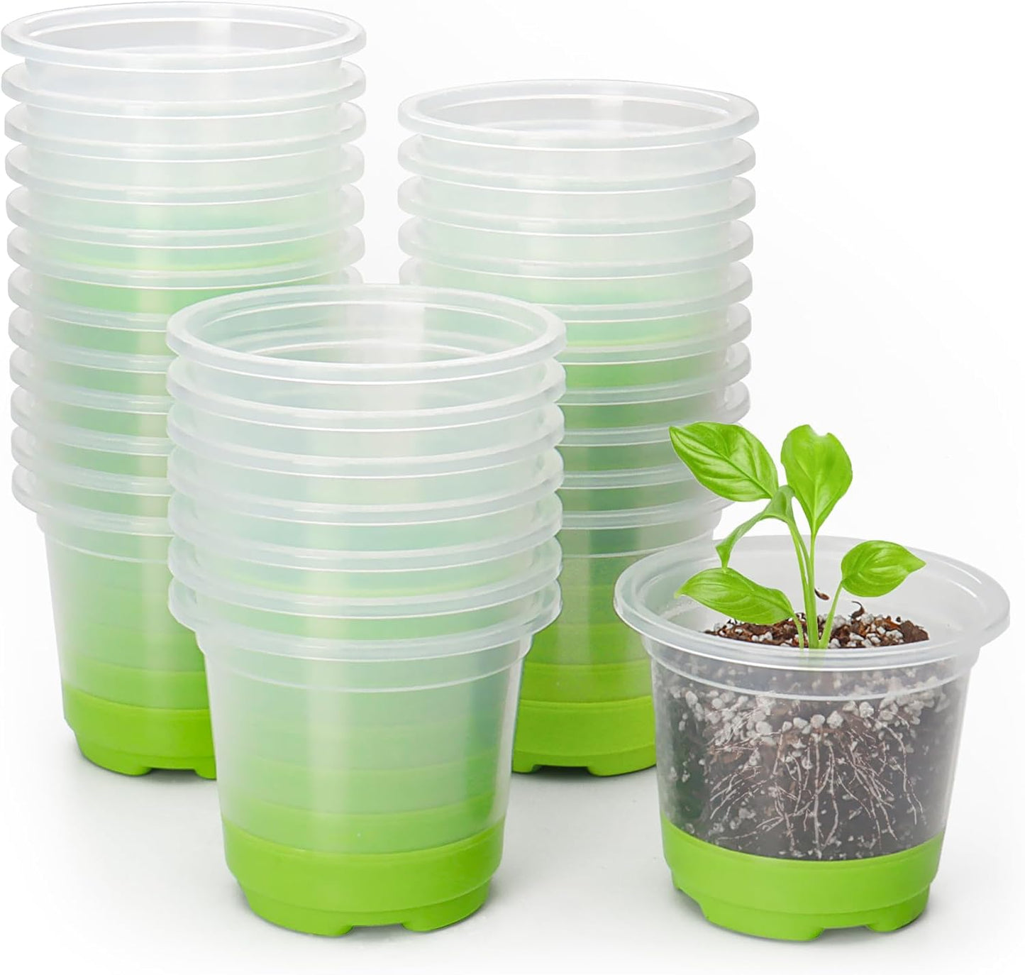 MIXC Thickened Clear Nursery Pots with Silicone Base for Easy Transplant 30 Packs 4 Inch, Transparent Plant Pot Reusable Seedling Pots for Vegetable Propagation, Root Cutting, Seed Starting, Green