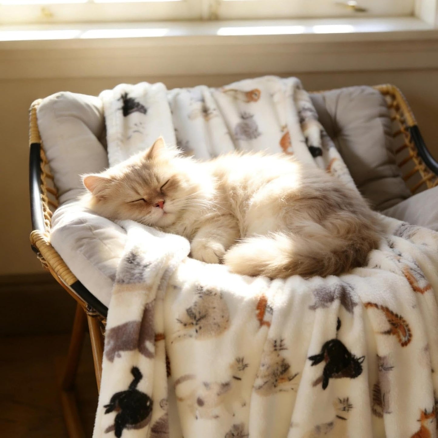 Cat Throw Blanket, 50"x60" Soft Cozy Flannel Throw with Cat Print for Pet Lovers Lightweight Pet Themed Blanket Gifts Full Seasons