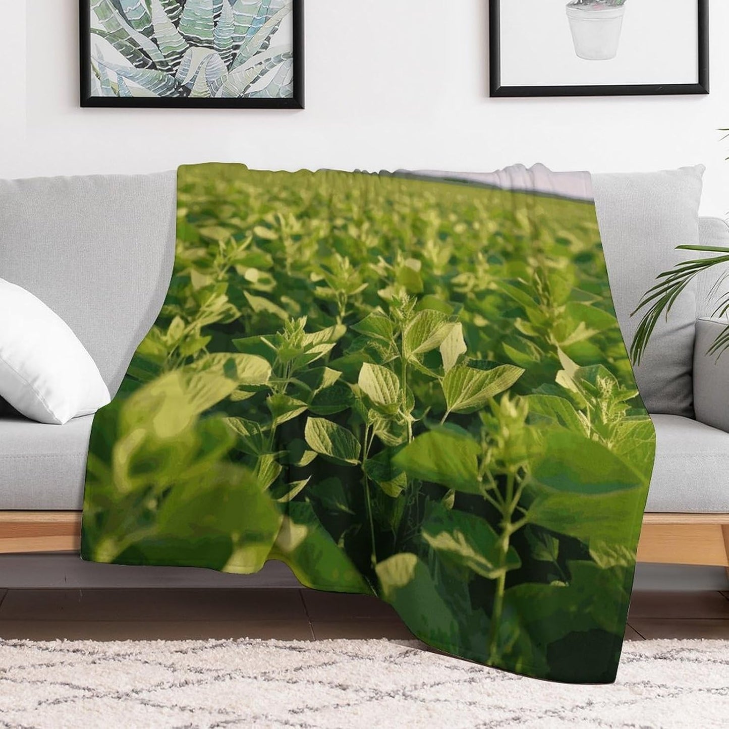Soybean Field Blanket Super Soft Lightweight Throw Blanket Cute Cozy Warm Bed Blanket Decorative Fuzzy Blanket All-Season Home Decor Gift for Sofa Couch Living Room 60"*80"（150 * 200cm）