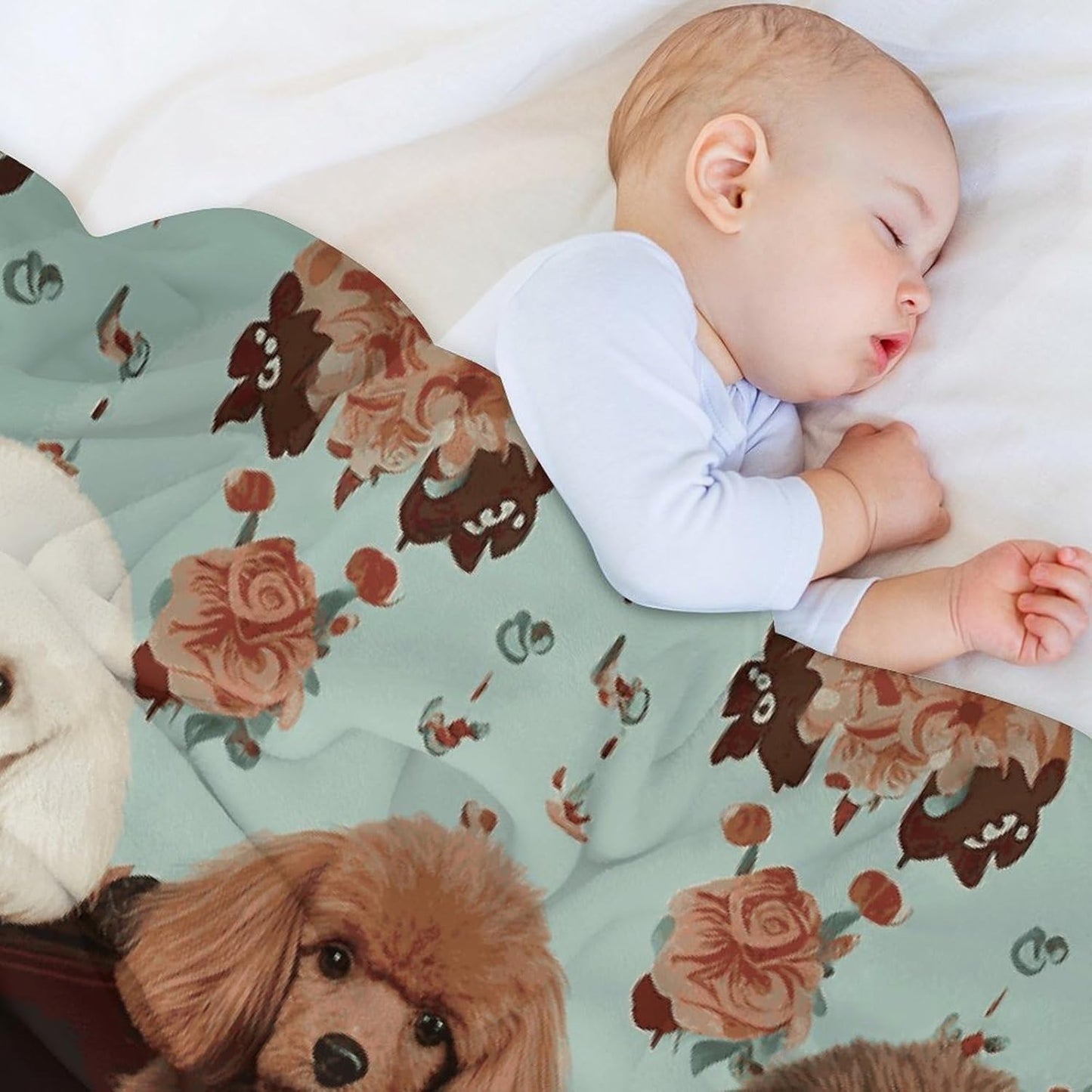 Poodles Dogs Blanket Super Soft Lightweight Throw Blanket Cute Cozy Warm Bed Blanket Decorative Fuzzy Blanket All-Season Home Decor Gift for Sofa Couch Living Room 40"*50" （100 * 130cm）