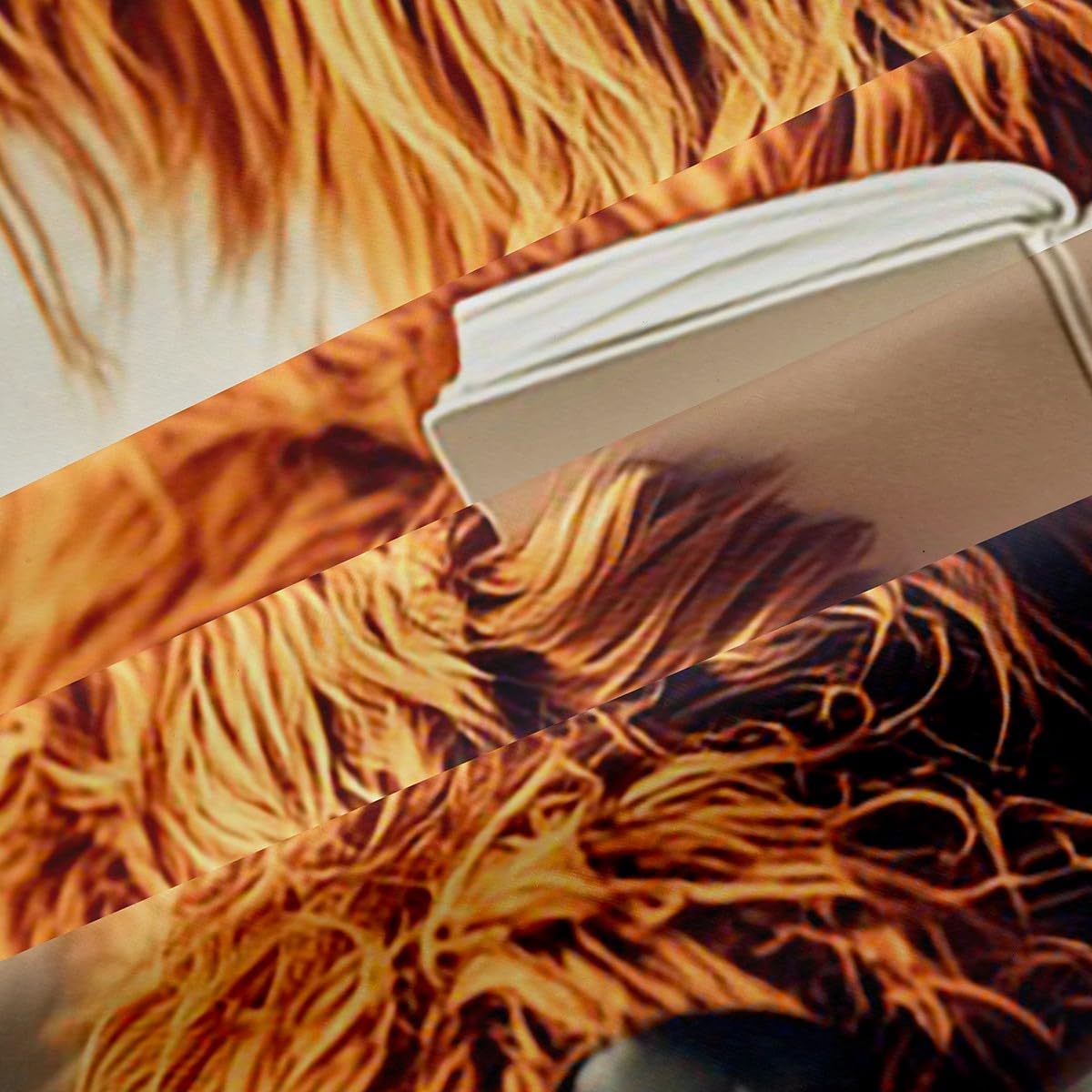 jejeloiu Funny Highland Cow Curtain (2 Panels, 52 x 84 Inch) Kids Highland Cattle Blackout Shades Reading Book Rustic Farm Room Darkening Curtain Window Treatments,Microfiber