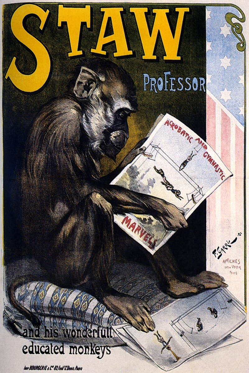 Professor Staw and His Wonderful Educated Monkeys Chimpanzee reading a Brochure Acrobatic and Gymnastic Marvels American Circus Vintage Poster Repro 16"X24" Image Size on CANVAS shipped Rolled-up