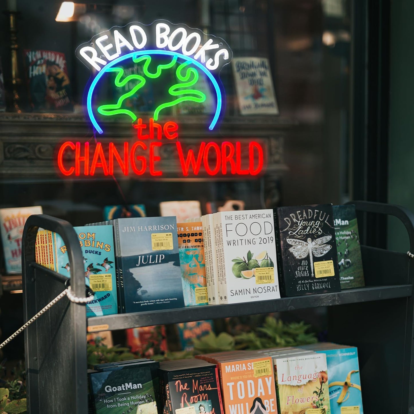 Read Books Change The World Neon Sign World LED Neon Light Powered by USB Dimmable Read Books Light Up Sign for School Classroom Bookstore Library Museum Study Room Wall Decor(16.5 * 12.6In)