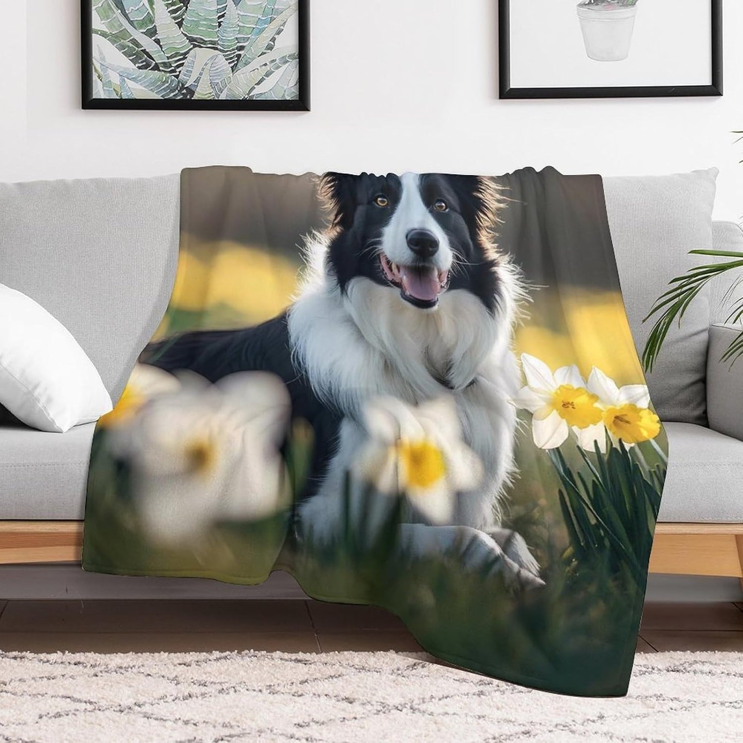 Border Collie Dog Throw Blanket for Couch Bed Plush Cozy Fuzzy Flannel Blanket for All Season 40"x50"