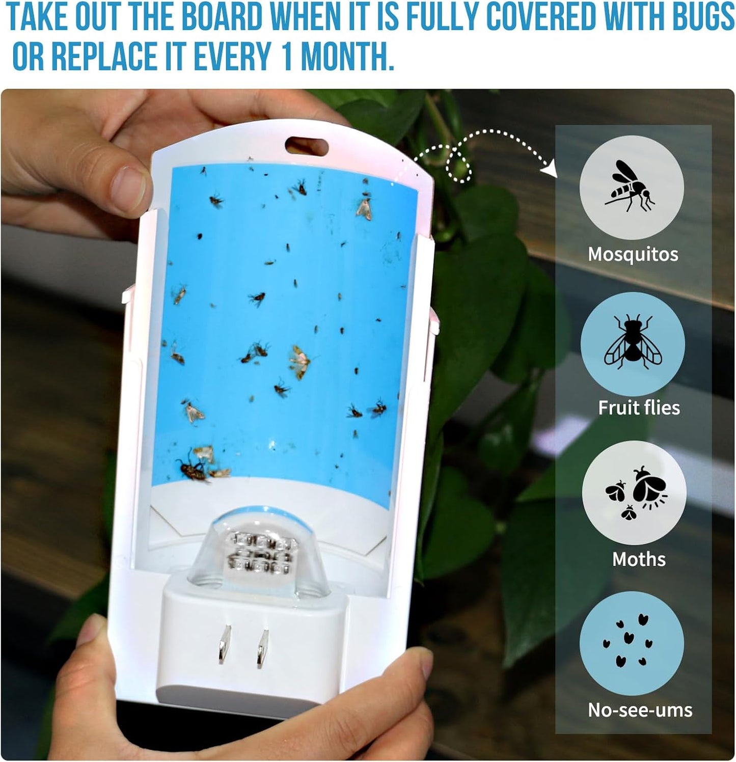 2 Pack Flying Insect Traps for Indoor, Plug-in Bug Catcher for Flies, Fruit Flies, Gnats, Moths, Noiseless for Home, 30-Day Glue Card Replaced (2 Devices & 8 Refills)