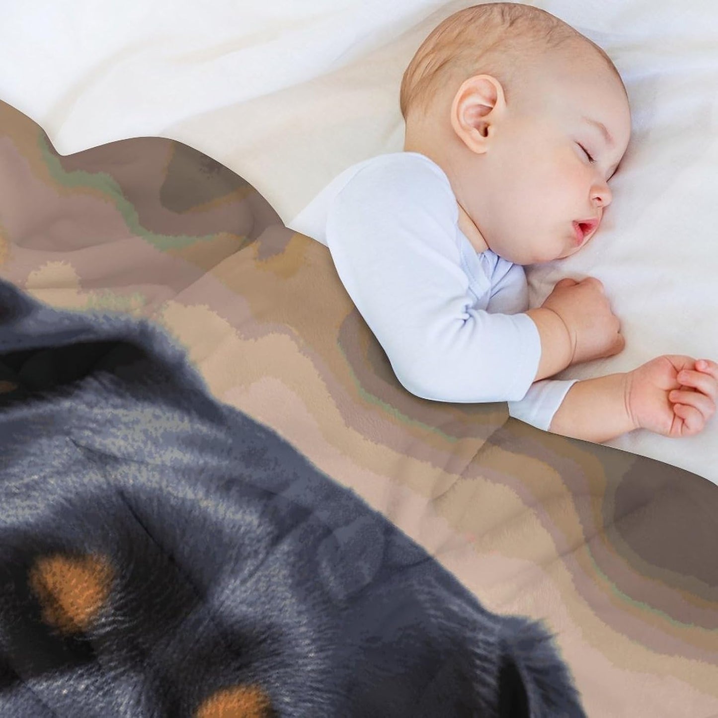 Rottweiler Dog Blanket Super Soft Lightweight Throw Blanket Cute Cozy Warm Bed Blanket Decorative Fuzzy Blanket All-Season Home Decor Gift for Sofa Couch Living Room 30"*40"（76 * 100cm）