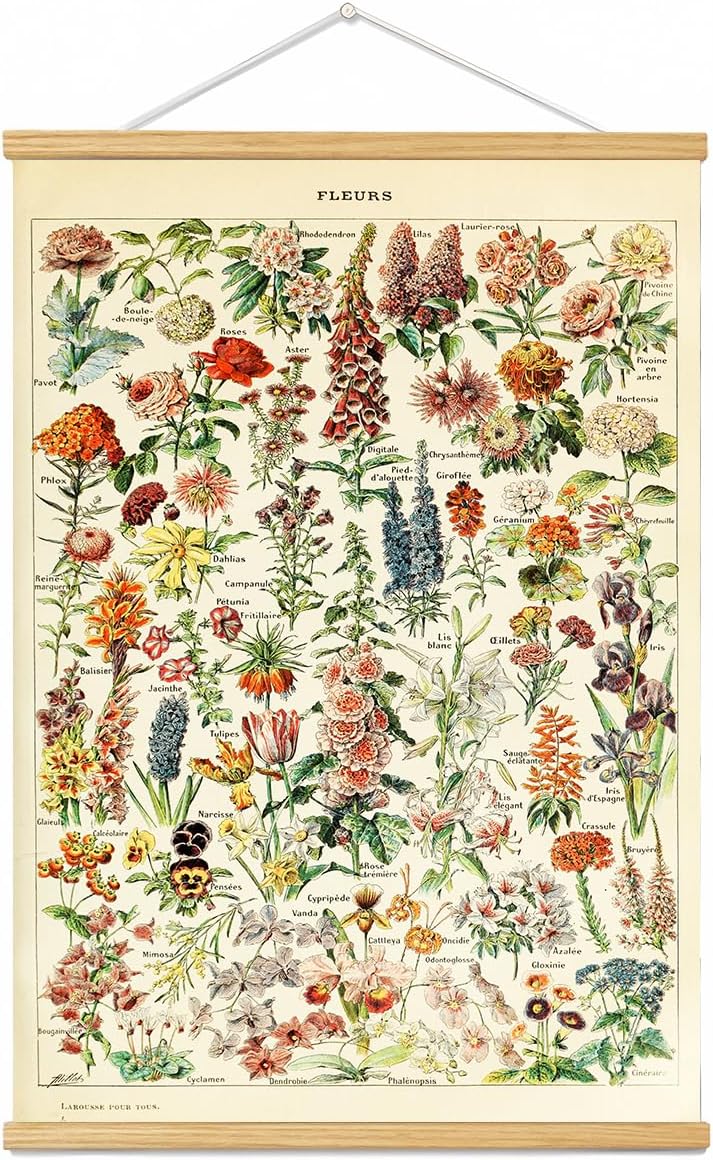 Vintage Flowers Poster Hanger Frame, Plant Floral Reference Chart Wall Decor Cottagecore Room Decor Aesthetic, Retro Style Wall Decor Art Painting Prints. (plant D, 18L x 12W)
