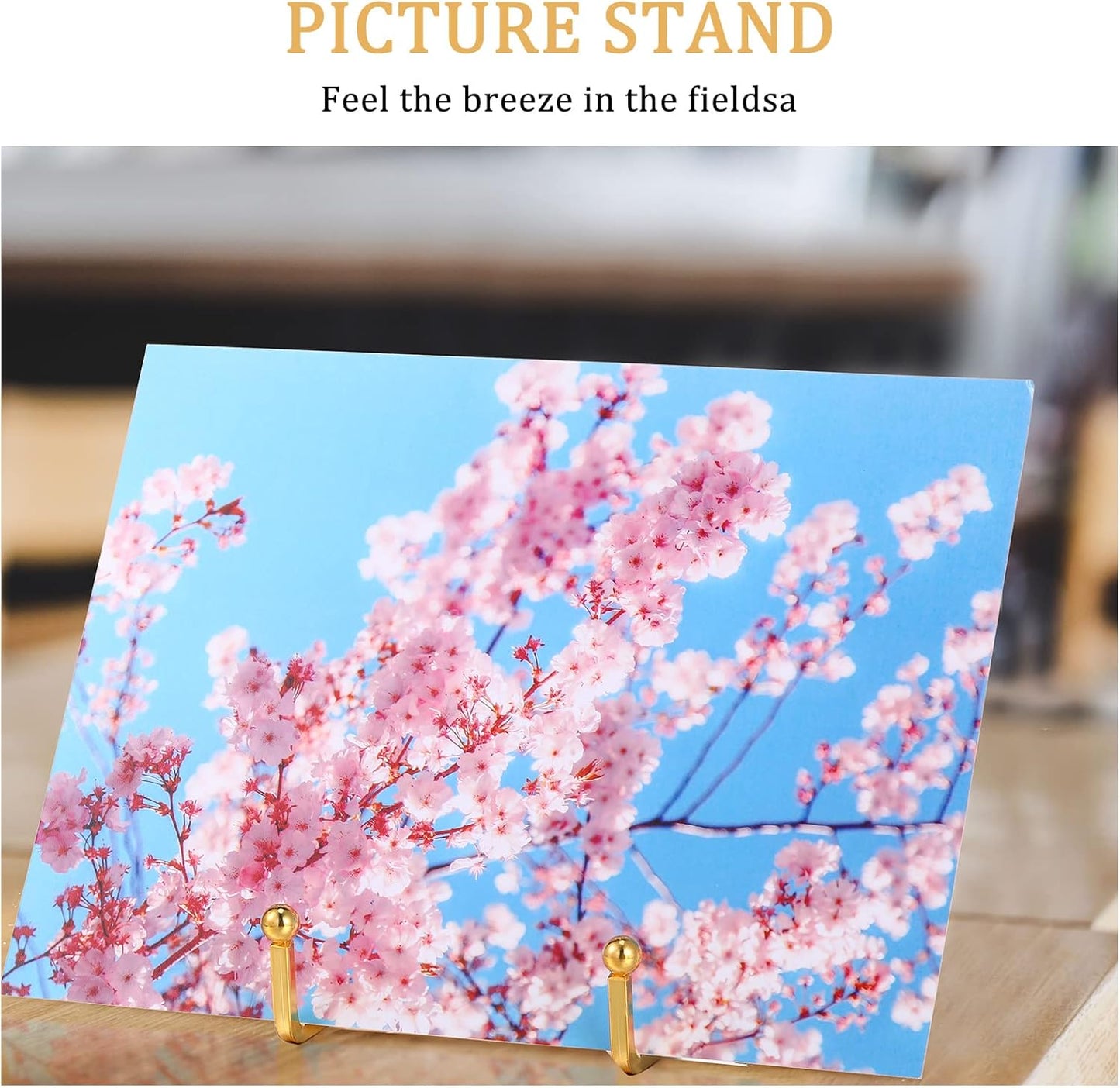 Kenning 24 Pieces Gold Plate Holder Easel Display Stand Metal Book Display Stand Tabletop Picture Frame Holder Photo Square Iron Easel Decorative for Kitchen Office Room Tabletop(3 Inch)