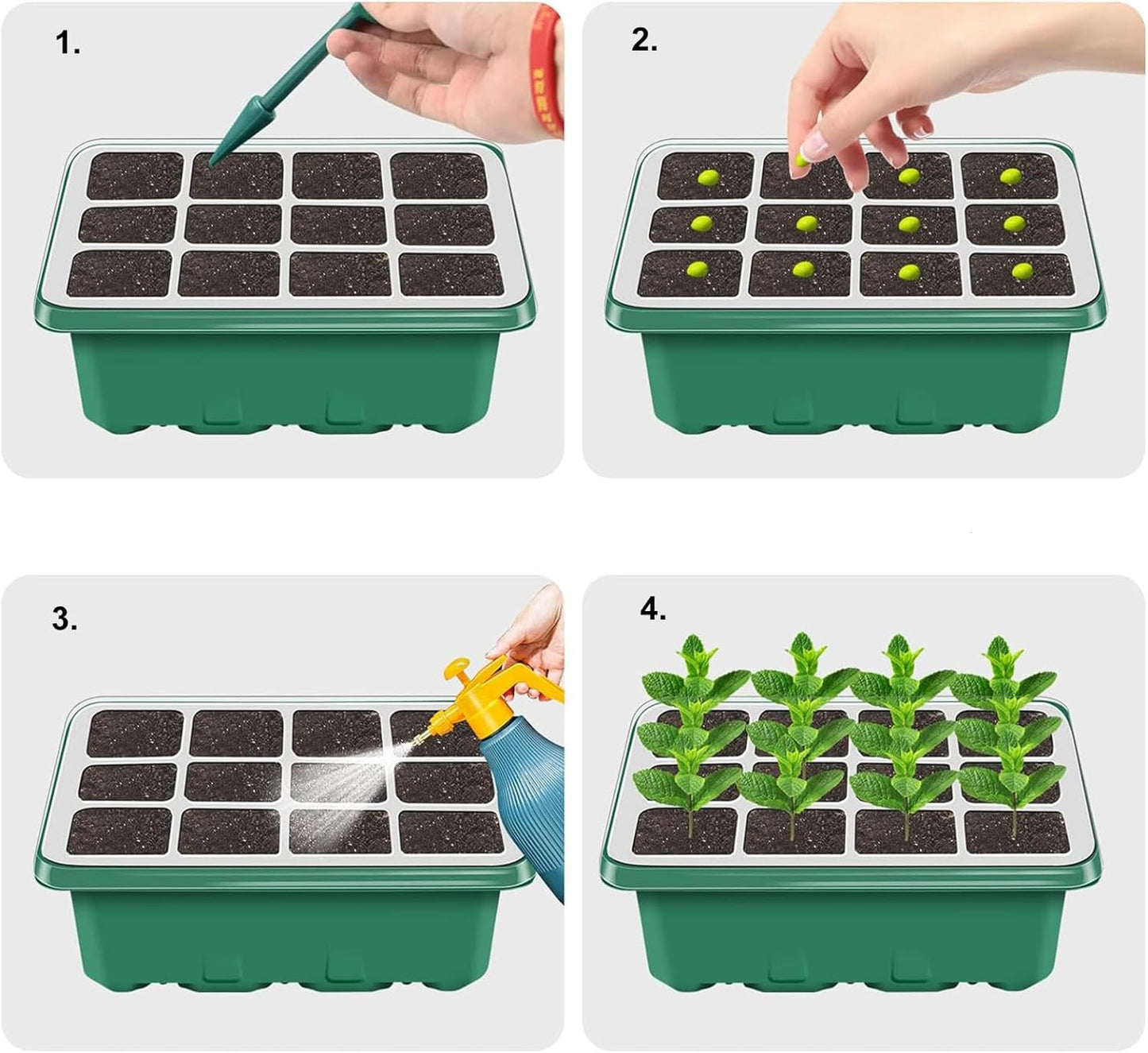 NBPLUS Seed Starter Tray with Grow Light, 5 Pack 60 Cells Seed Starter kit with Humidity Dome and Base, Plant Seedling Trays Indoor Greenhouse Gardening (Green 5 Pack)