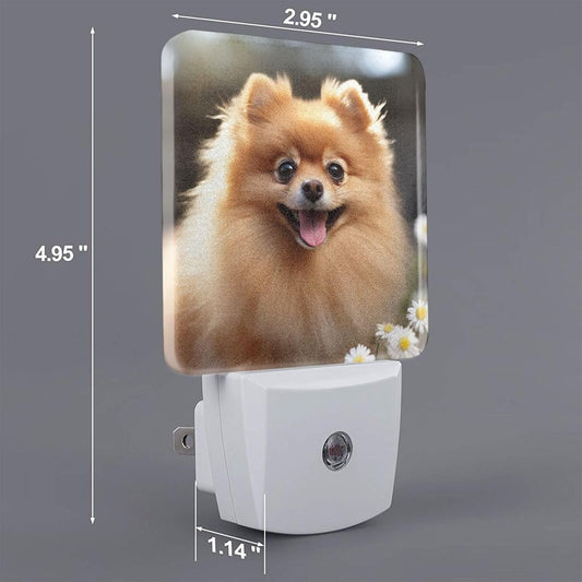 Kururi Plug-in Led Night Light Lamp Pomeranian Dog Print Night Light with Dusk to Dawn Sensor Plug in Indoor Decorative Nightlights for Bedroom Hallway Bathroom Kitchen