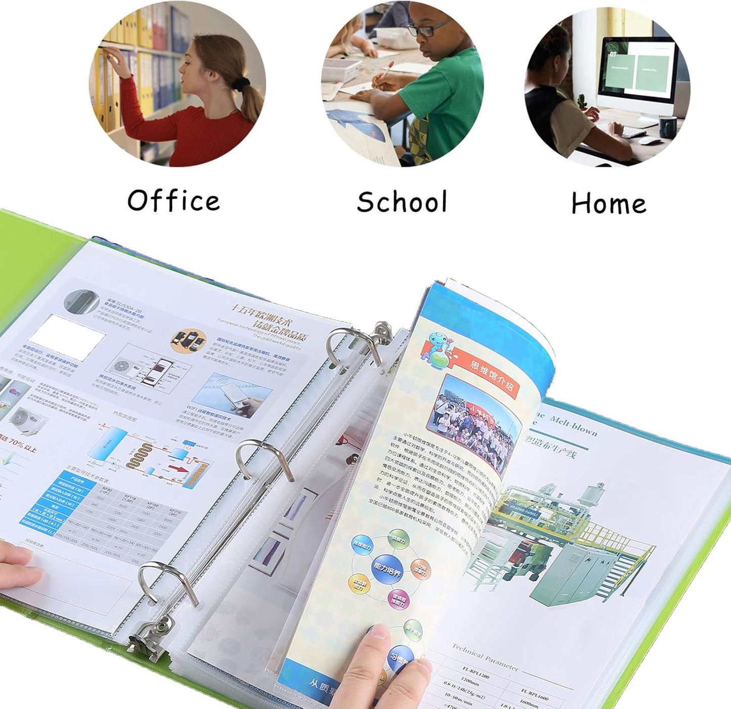 Seashell 250 Economy Sheet Protectors 8.5 x 11, Clear Plastic Page Protectors for 3 Ring Binder, Letter Size, Acid Free, Top Loading, Binder Sleeves for 8.5 x 11 Inch Sheets