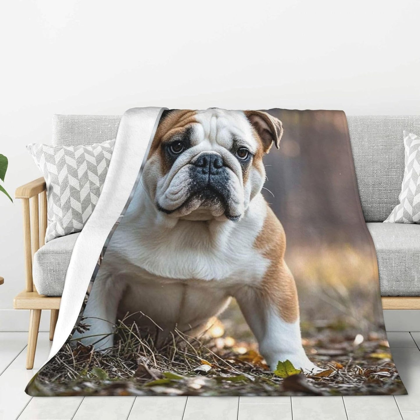 Throw Blanket Soft Cozy Bed Blanket 60"x50" Reversible Plush Blanket English Bulldogs Flannel Blankets Warm Cozy Throws for Sofa Lightweight Blankets for Couch Bed