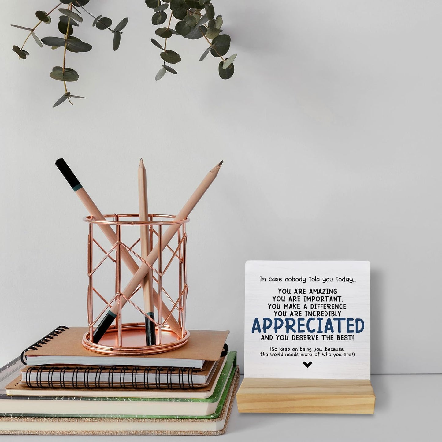 Inspiring Quote You are Appreciated and You Deserve the Best Table Wood Plaque Sign,Self Affirming Wooden Stand Wood Sign Desk Decor for Home Dorm Table Shelf,Inspiring Gifts for Women Men Students