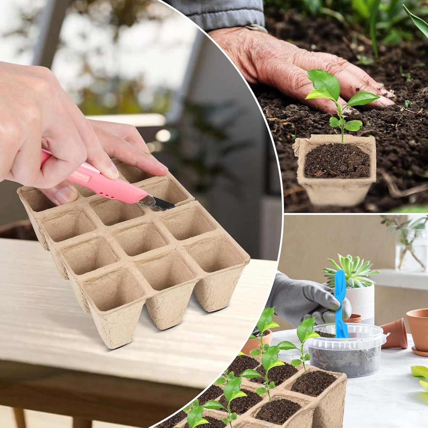 10 Packs Seedling Starter Trays, 120 Cells Biodegradable Seed Starter Plant Pots，Seed Germination Starter Tray Kit with 20 Labels, 2 Transplant Tools