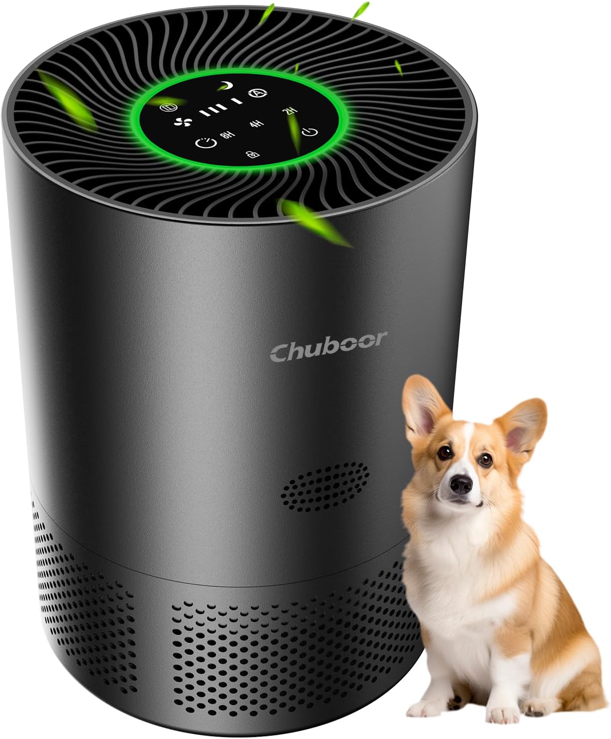 Chuboor Air Purifiers for Home Large Rooms, H13 True HEPA for Bedroom Dorm Room Pets, kitchen, washroom, with Timer, Auto Mode, Sleep Mode, for Smoke and Dust, Pollen, Odors, PJ01, Black