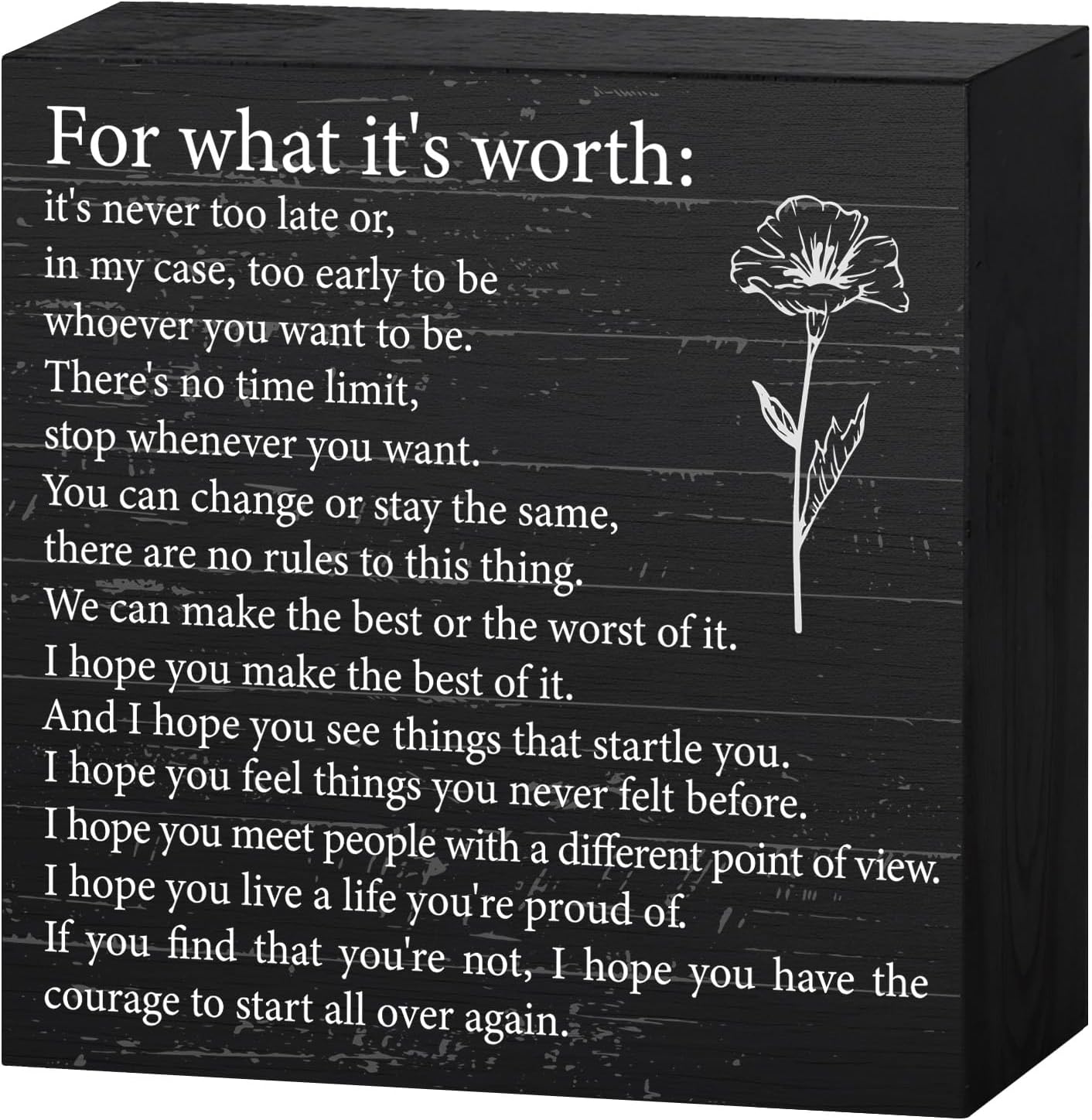 For What It's Worth Inspirational Offices Desk Decor F. Scott Fitzgerald Quote Print Sign for Bookshelf School Home Reading Decor Ideal Gift for Students Coworkers Friends Teens Women