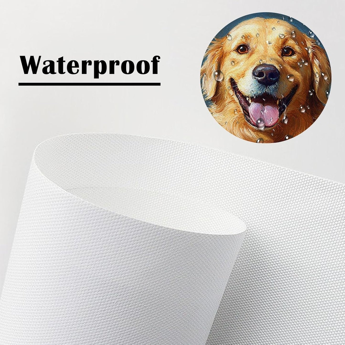 DEORAIO Golden Retriever Reading Newspaper on Toilet Wall Art Funny Pet Picture Bathroom Decor Modern Home Humor Framed Ready to Hang 12x16 inches